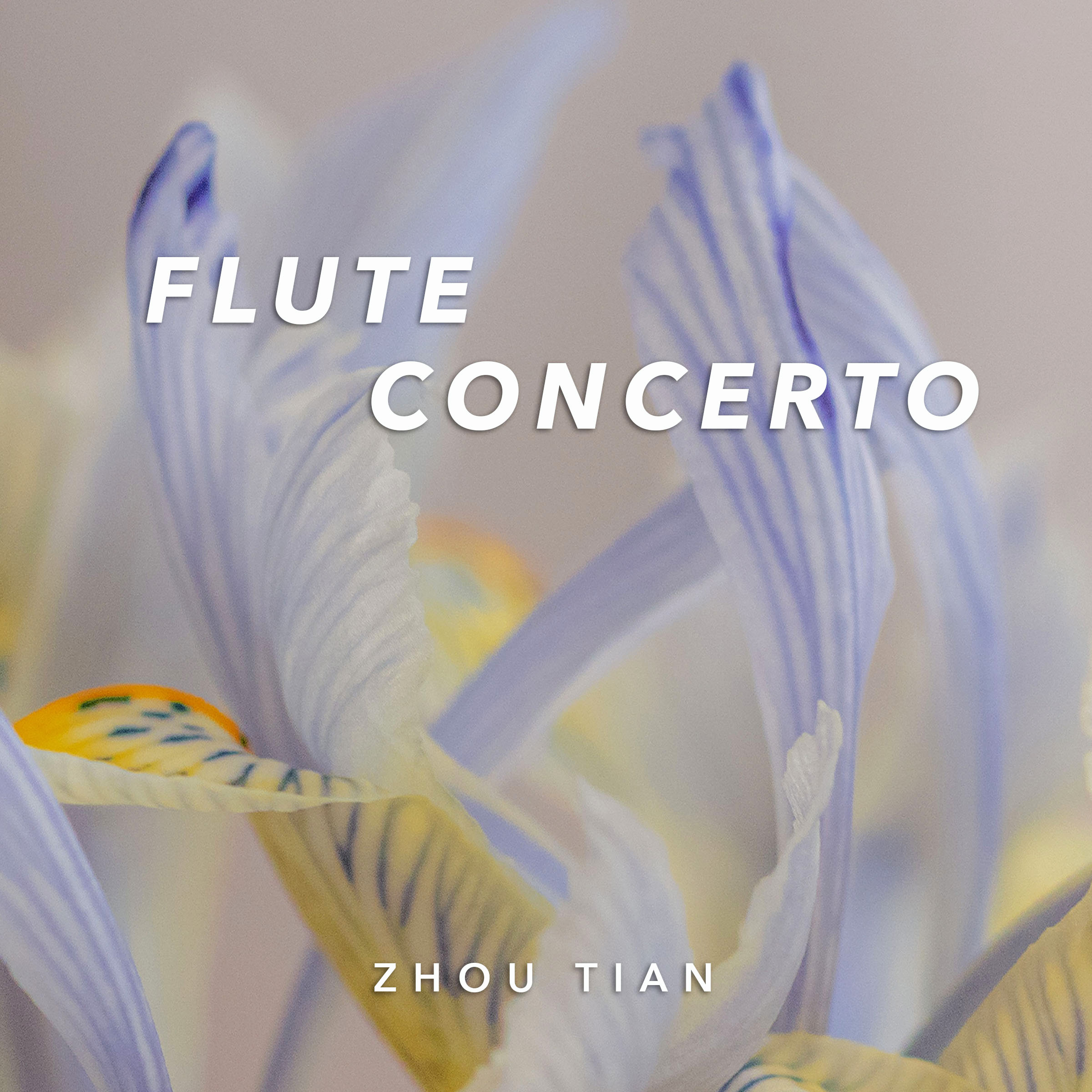 Flute-Concerto-4a-1