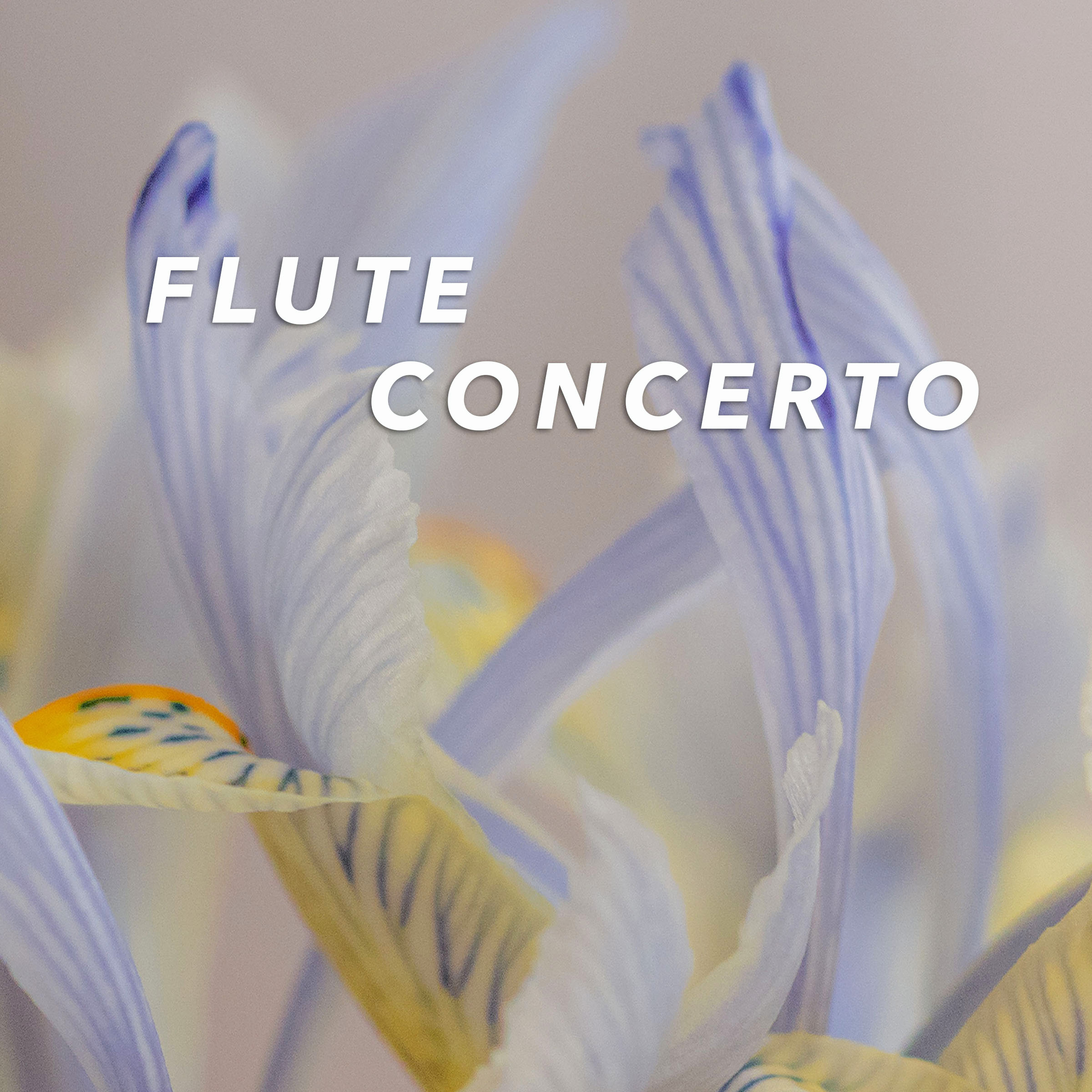 Flute-Concerto-4b-1