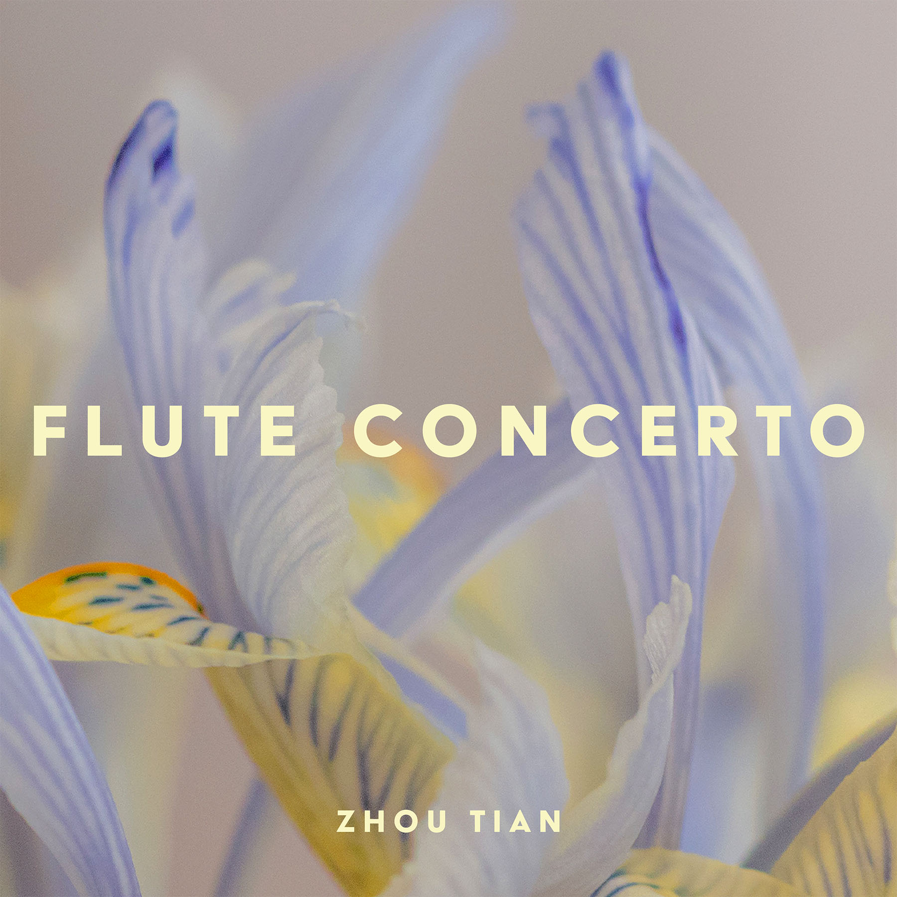 Flute-Concerto-6A-copy Flute-Concerto-6A-copy
