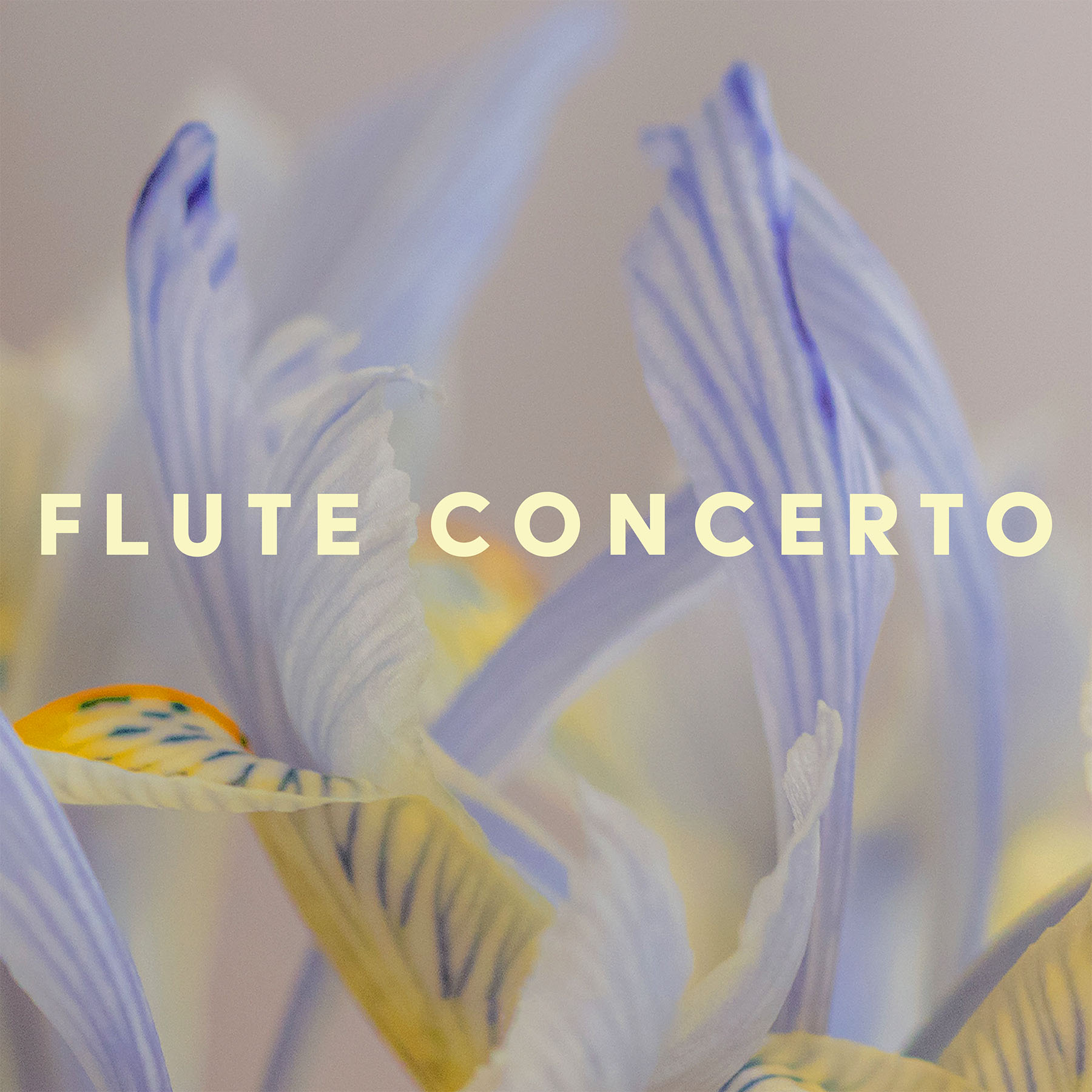 Flute-Concerto-6B