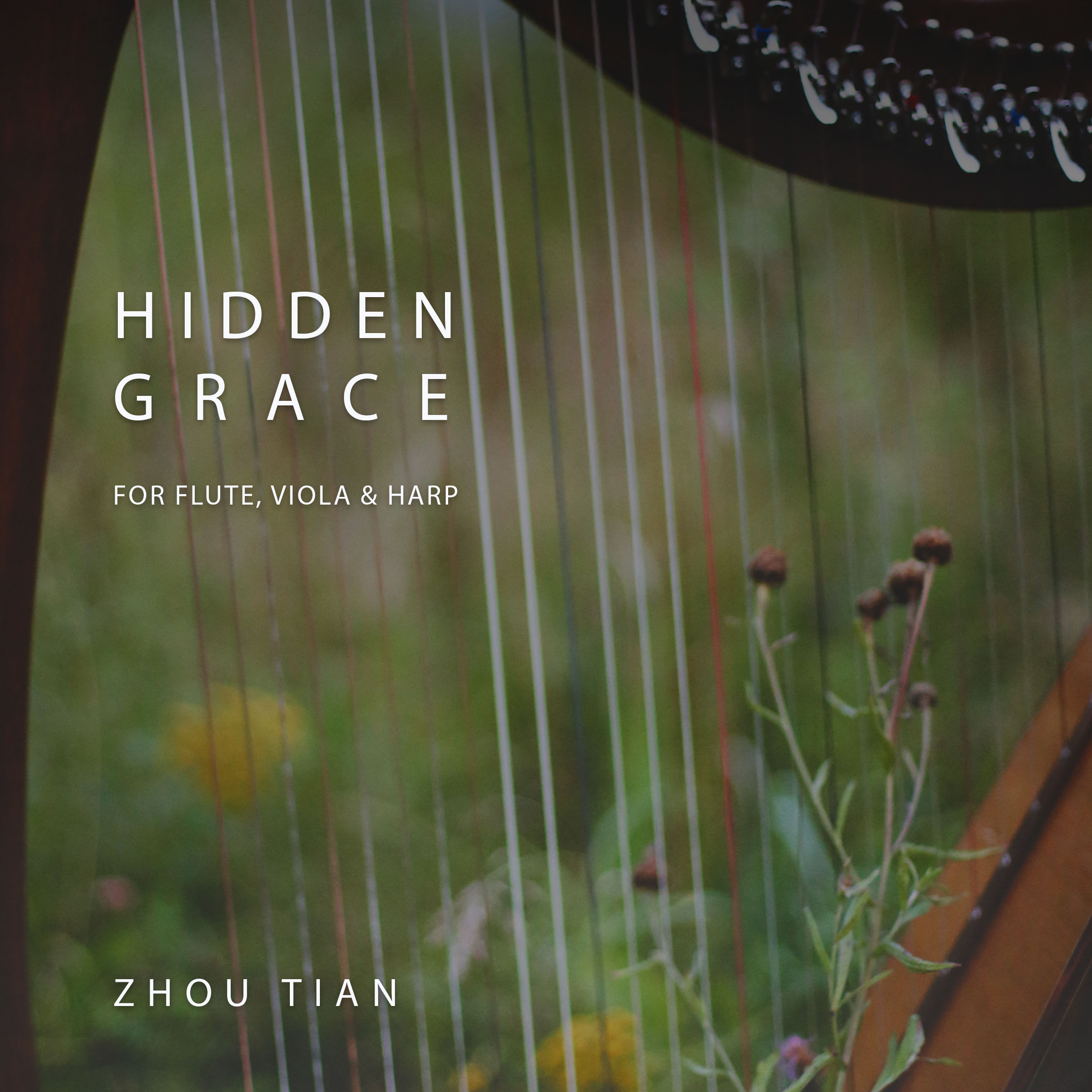 Hidden Grace 1a